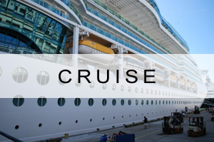 Cruise Page Link